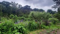 023 – Irland, Glenveagh Nationalpark