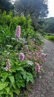 029 – Irland, Glenveagh Nationalpark