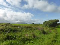 033-Ballyshannon