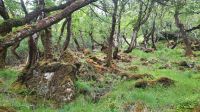 035 – Irland, Glenveagh Nationalpark