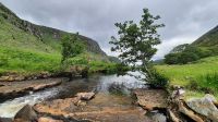042 – Irland, Glenveagh Nationalpark