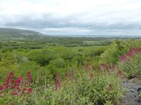 077-Aillwee_Cave
