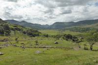078-Kissanes_Shepfarm