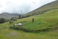 081-Ring_of_Kerry