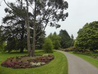 100-Blarney_Castle