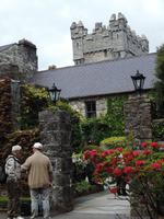 19 Glenveagh Castle - Café