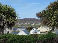 22 NW-Ecke von Irland - mit Palmen