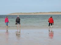 25 einige Wagemutige