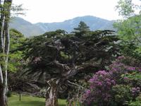 34 im Park der Abtei