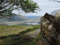 43 Ladies' View am Ring of Kerry