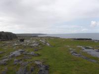 Küstenszenerie am Burren