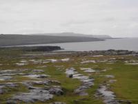 Küstenszenerie am Burren