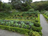 Gärten von Glenveagh