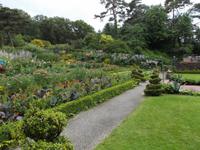 Gärten von Glenveagh