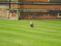 Die Universität Belfast hat Besuch....