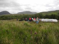 Torf, Torf, Torf.....