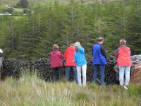 Torf, Torf, Torf.....