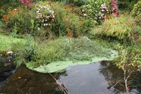 wie in den Tropen....