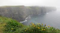 Cliffs of Moher