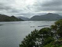 Killary Harbour