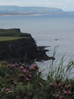 10 Küste bei Giant's Causeway