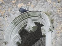 44 schöne Verzierungen an der Ruine