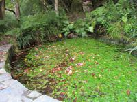 Gesehen in Glenveagh