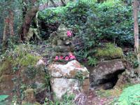 Himalaya Garten in Clenveagh