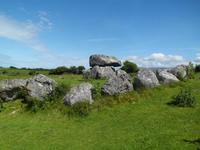 Megalithgrab in Carrowmore