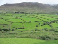 Knicks im Anascaul-Tal, Dingle