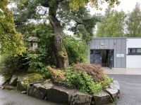 11. Reisetag – Von der West- an die Ostküste – Irisches Nationalgestüt bei Kildare