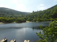 113-Glendalough