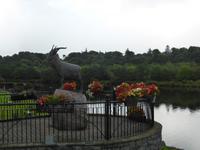 114-Killorglin