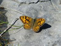Aran Islands - Inish Mór
