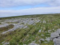 Burren Way