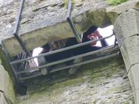 Blarney Castle - Blarney Stone