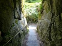 Blarney Castle - Wishing Steps