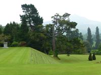 Powerscourt Garden