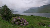 Killary Harbour
