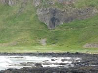 Giant´s Causeway - Orgel