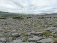 The Burren
