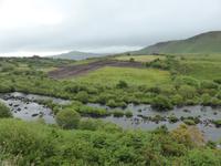 Ring of Kerry - Torfgebiete