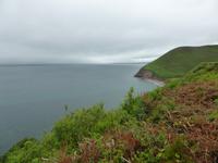 Ring of Kerry - Blick in Bucht von Dingle