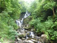 Torc Wasserfall im Killarney Nationalpark