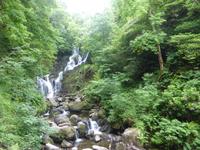 Torc Wasserfall im Killarney Nationalpark