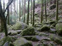 Killarney Nationalpark