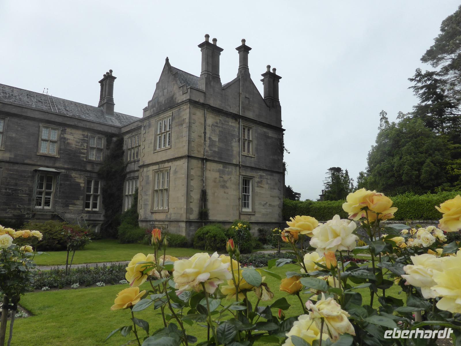 Killarney Nationalpark - Rosengarten am Muckross House