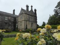 Killarney Nationalpark - Rosengarten am Muckross House