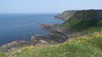 Giants Causeway