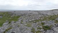 Burren